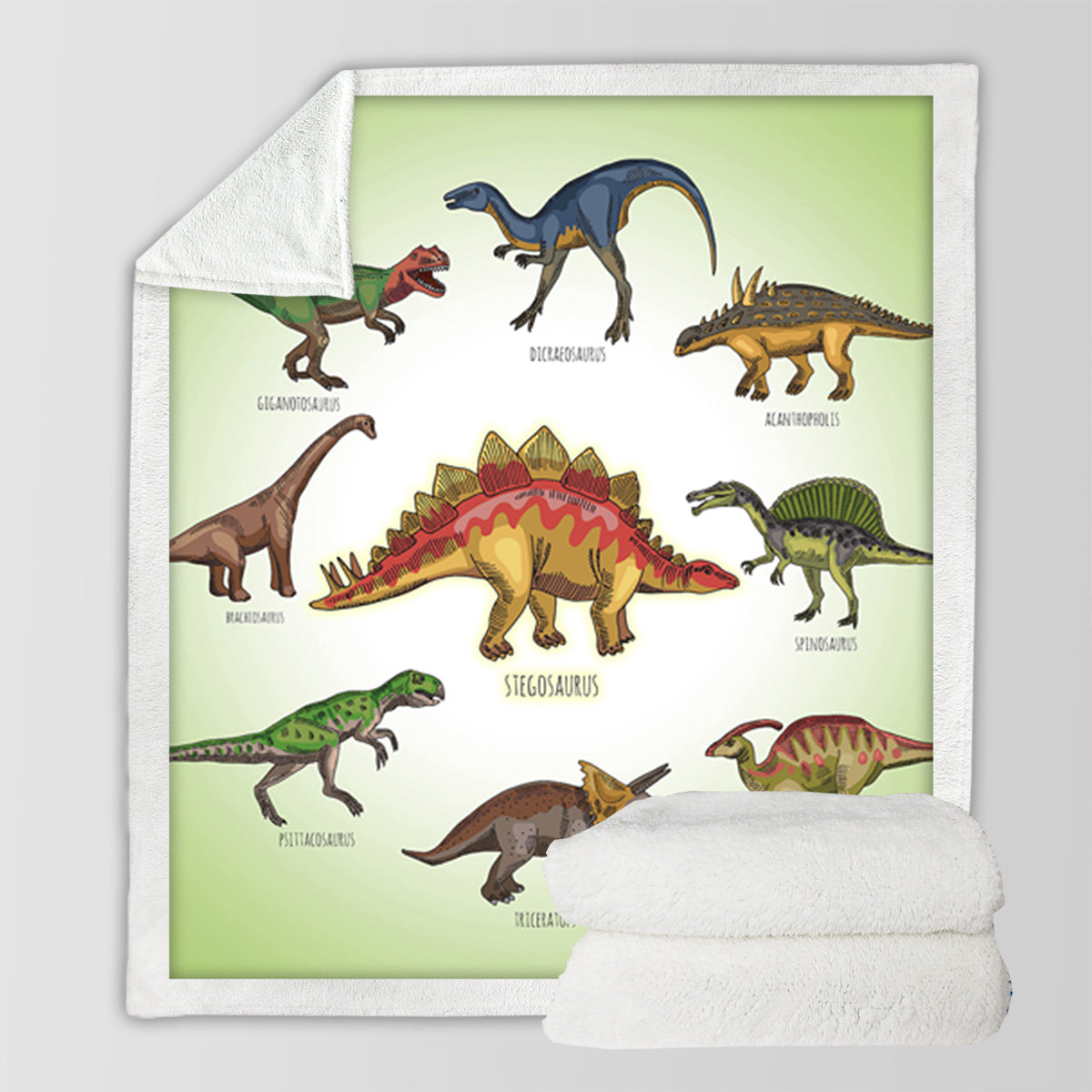 Dinosaur Family Sherpa Fleece Throw Blanket For Boys Girls Adults 50x60 , 60x80 Fuzzy Soft Warm Blanket For All Seasons